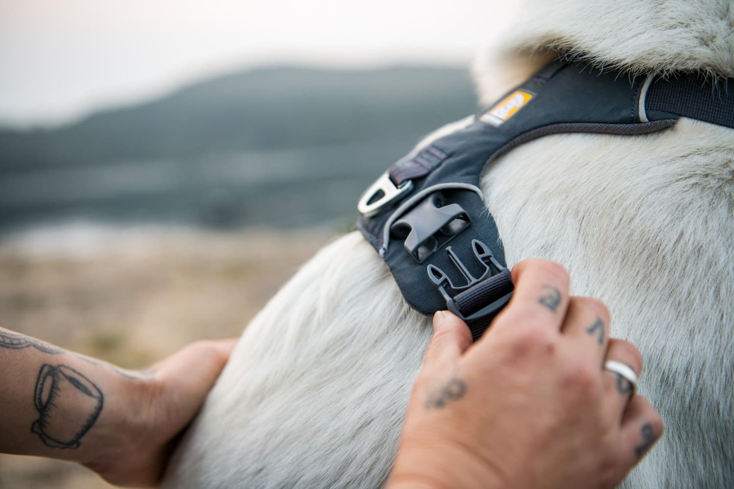 Front Range Harness Basalt Gray, view: 8