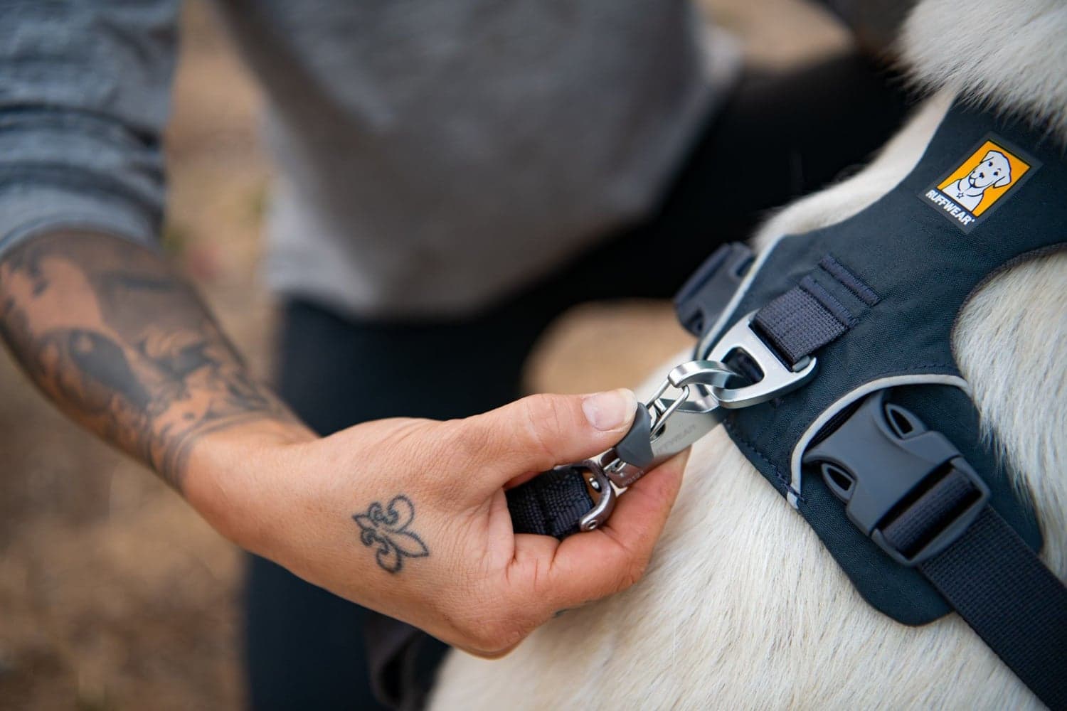 Front Range Harness Basalt Gray, view: 9