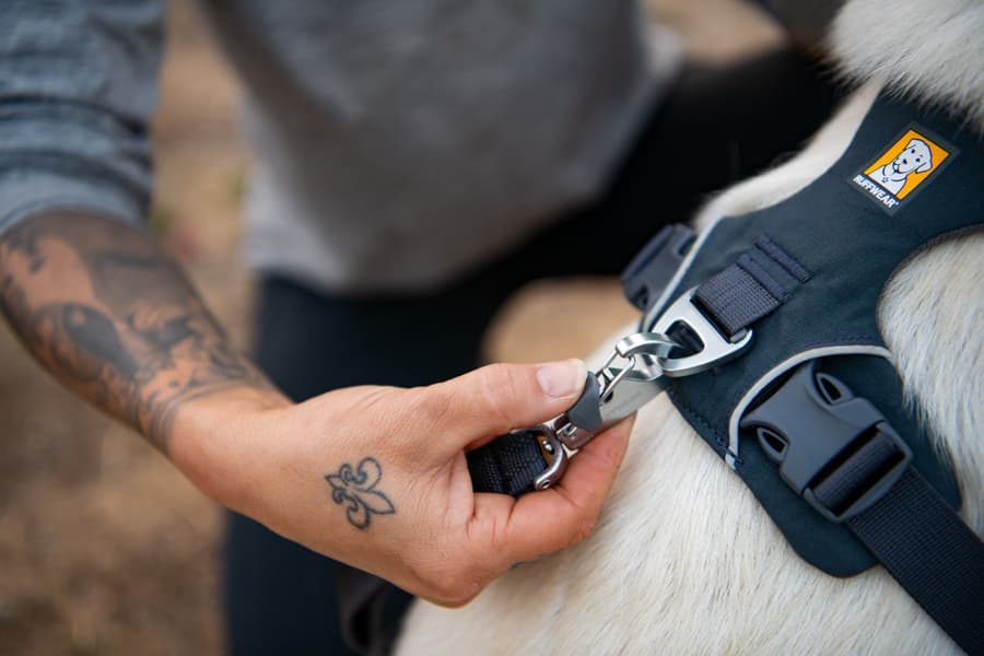 Front Range Harness Basalt Gray, view: 9