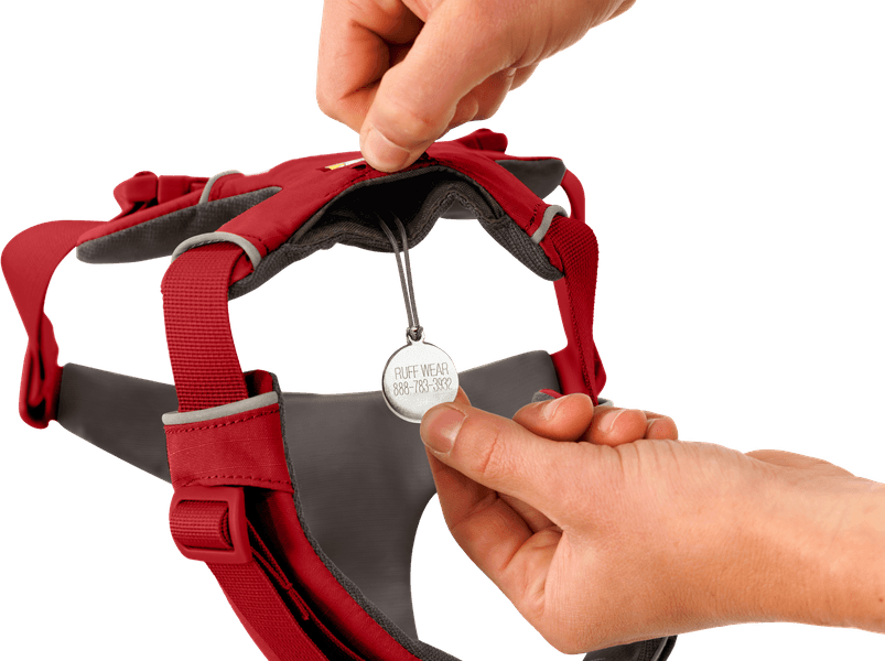 Front Range Harness Red Canyon, view: 2