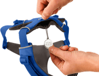 Front Range Harness Blue Pool - view: 2