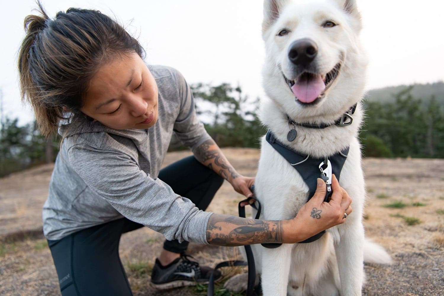 Front Range Harness Moonlight Mountains, view: 1