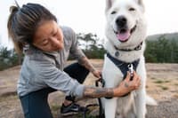 Front Range Harness Moonlight Mountains - view: 1