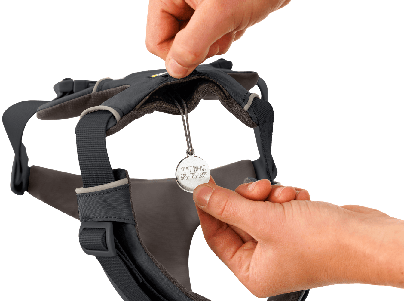 Front Range Harness Basalt Gray, view: 2