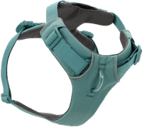Front Range Harness RiverRock Green - view: 0