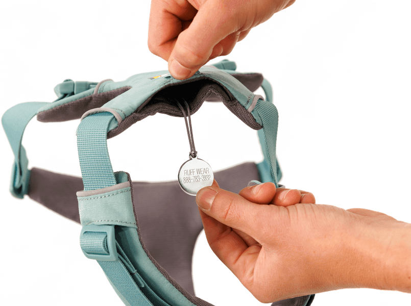 Front Range Harness RiverRock Green, view: 2