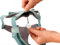 Front Range Harness RiverRock Green - view: 2