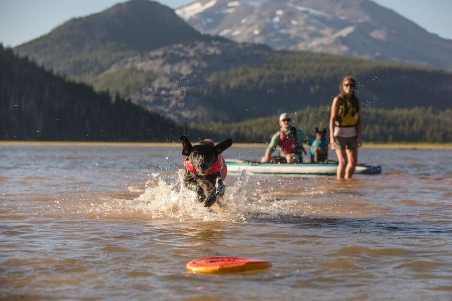 Ruffwear Hydro Plane Campfire Orange, view: 5