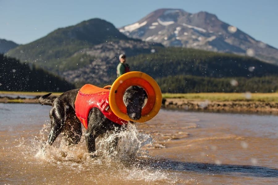 Ruffwear Hydro Plane Campfire Orange, view: 4