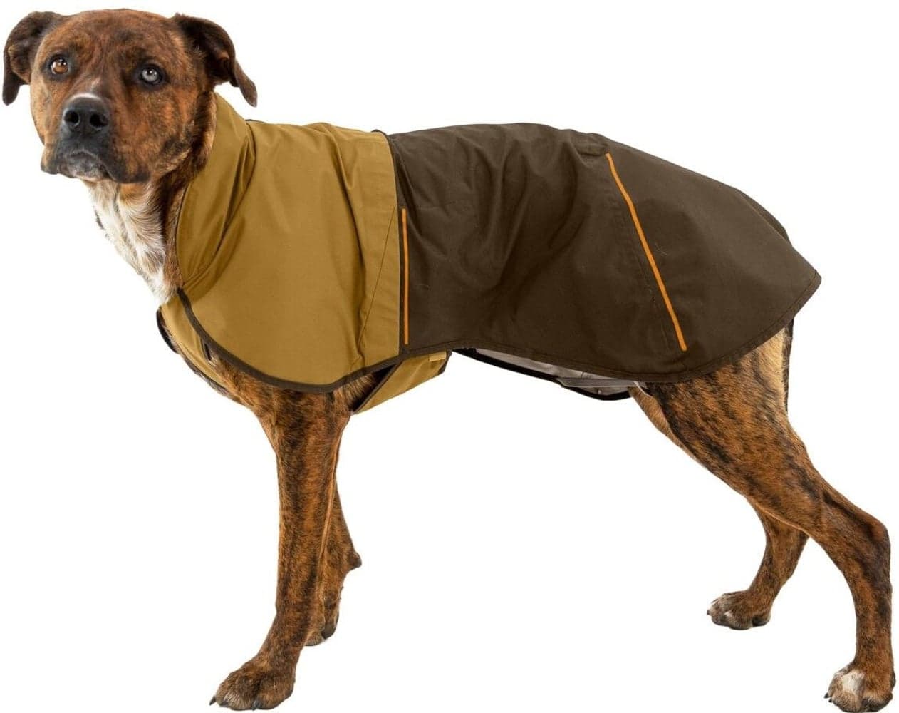 Sun Shower Jacket M-XL Earth Brown, view: 6