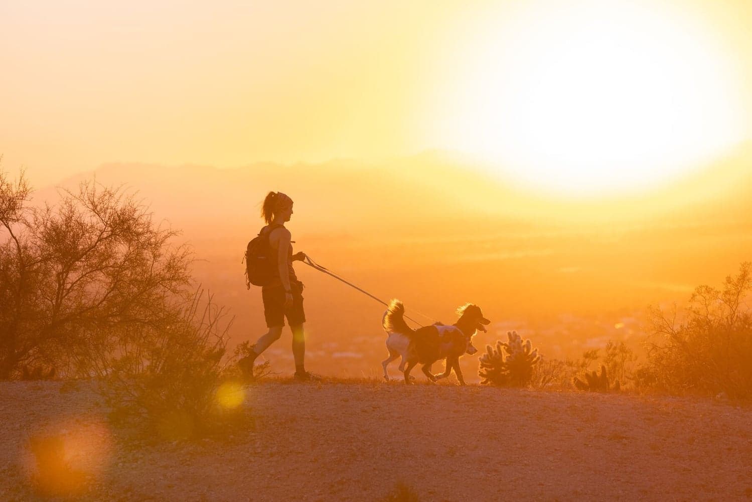 Swamp Cooler Harness Heliotrope Purple, view: 4
