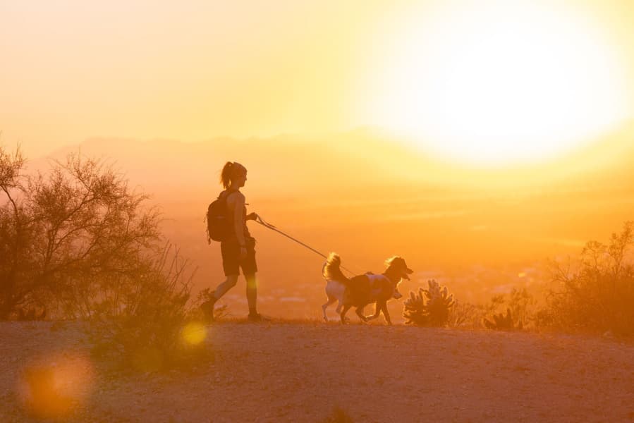 Swamp Cooler Harness Sage Green, view: 7