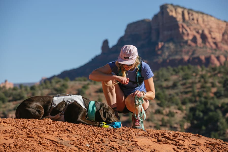 Swamp Cooler Harness Graphite Gray, view: 7