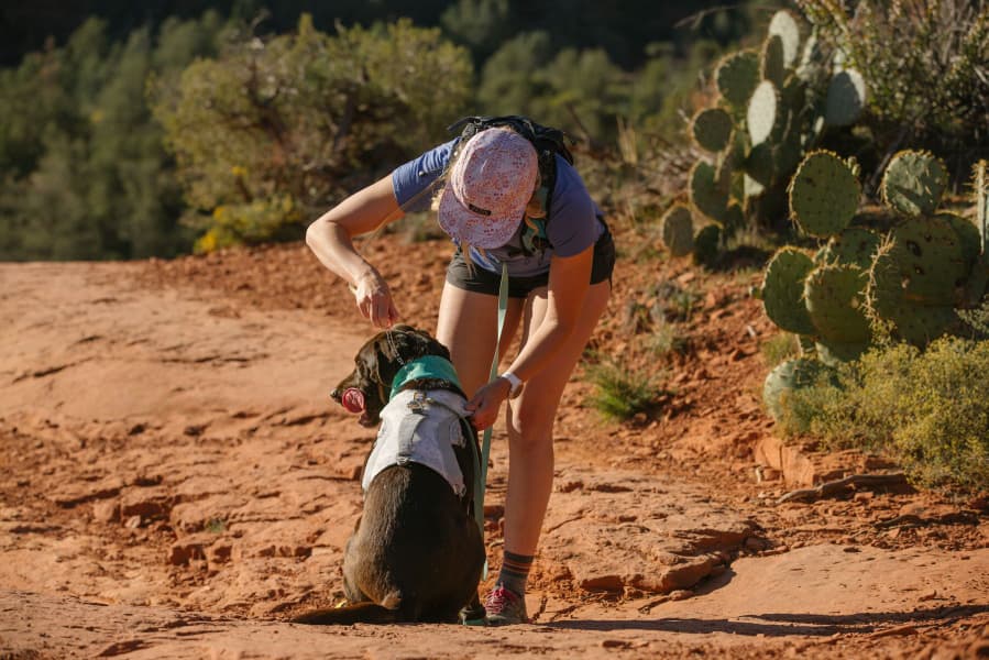 Swamp Cooler Harness Graphite Gray, view: 9