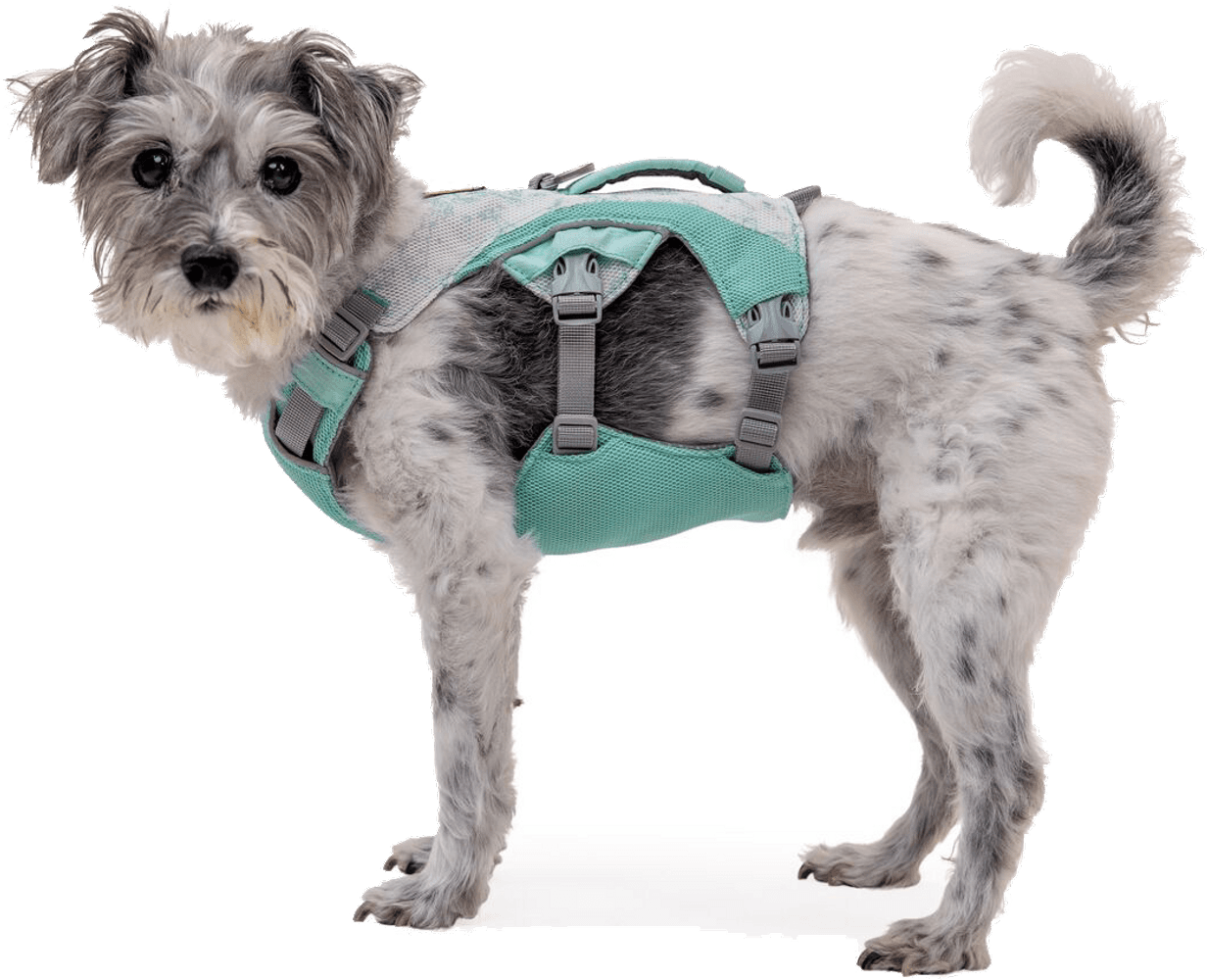 Swamp Cooler Harness Sage Green, view: 1