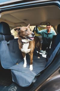 The Dirtbag Seat Cover Basalt Gray - view: 3