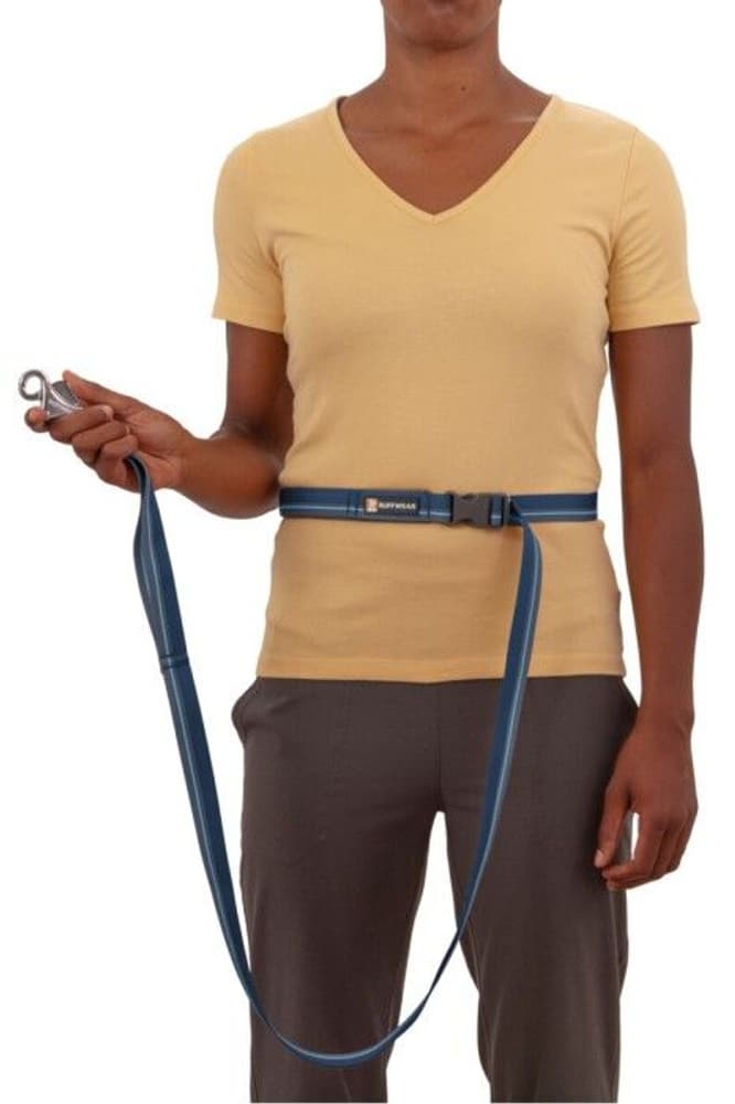 Ruffwear Flat Out Leash Blue Horizon, view: 4