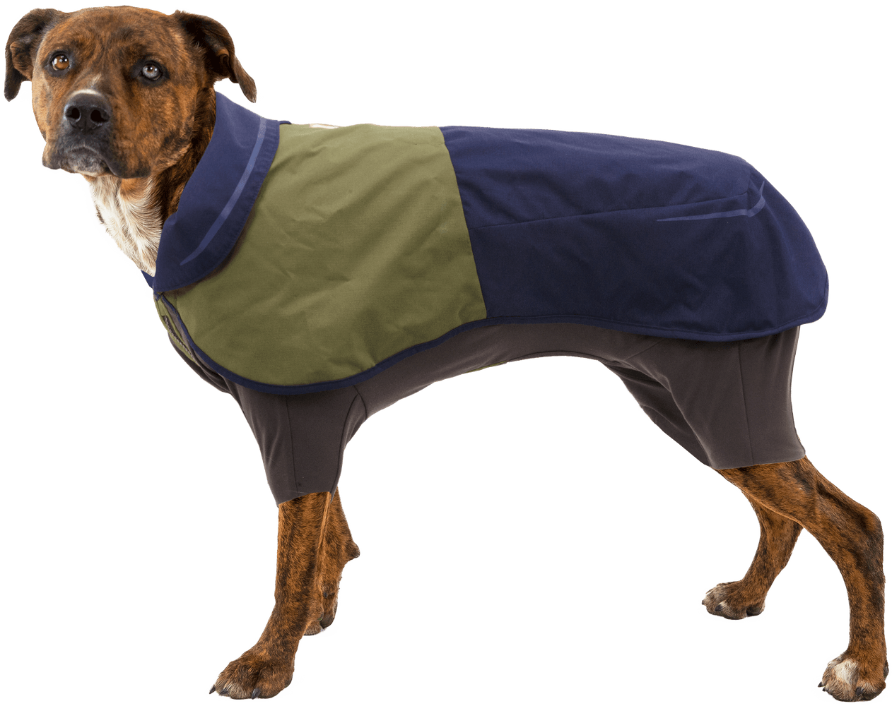 Sun Shower Coverall M-XL Midnight Blue, view: 3