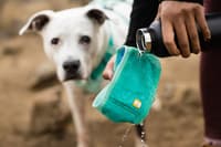 Swamp Cooler Neck Gaiter Aurora Teal/Heliotrope Purple - view: 5