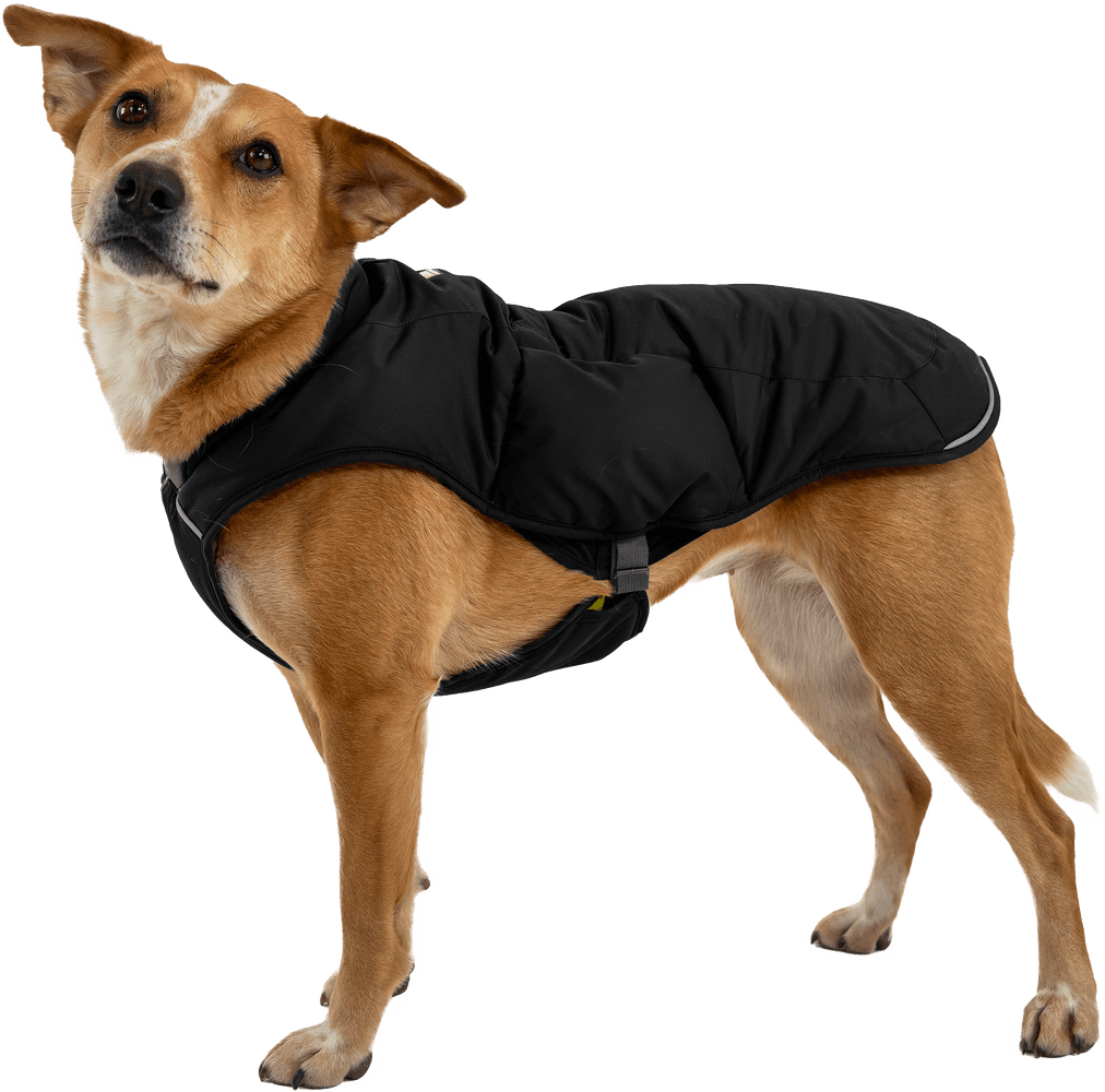 Quinzee Insulated Jacket Obsidian Black, view: 6