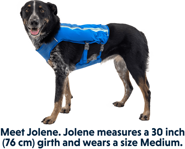 Trail Runner Running Vest Blue Pool, view: 9