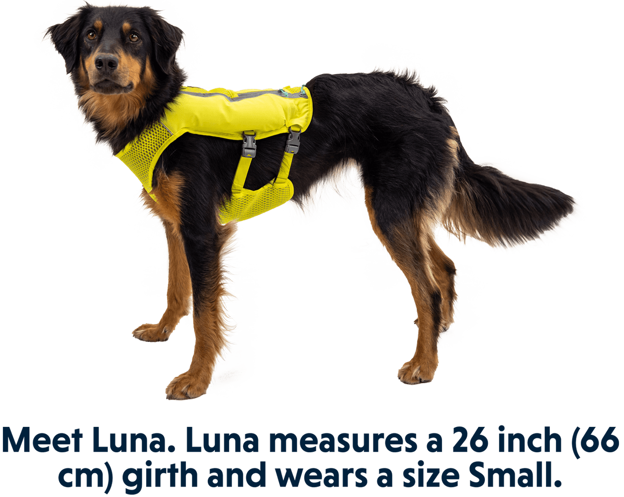 Trail Runner Running Vest Lichen Green, view: 8