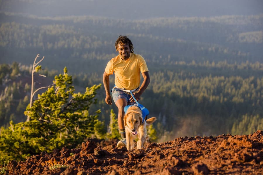 Trail Runner Running Vest Blue Pool, view: 6