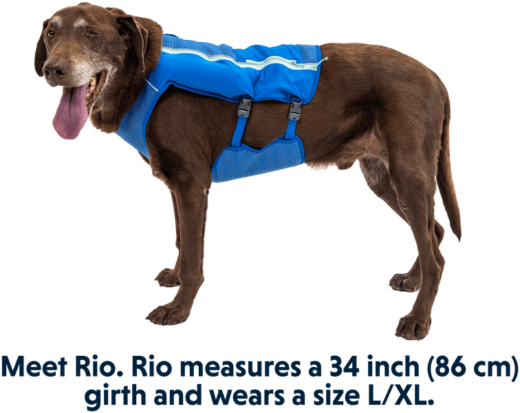 Trail Runner Running Vest Lichen Green, view: 9