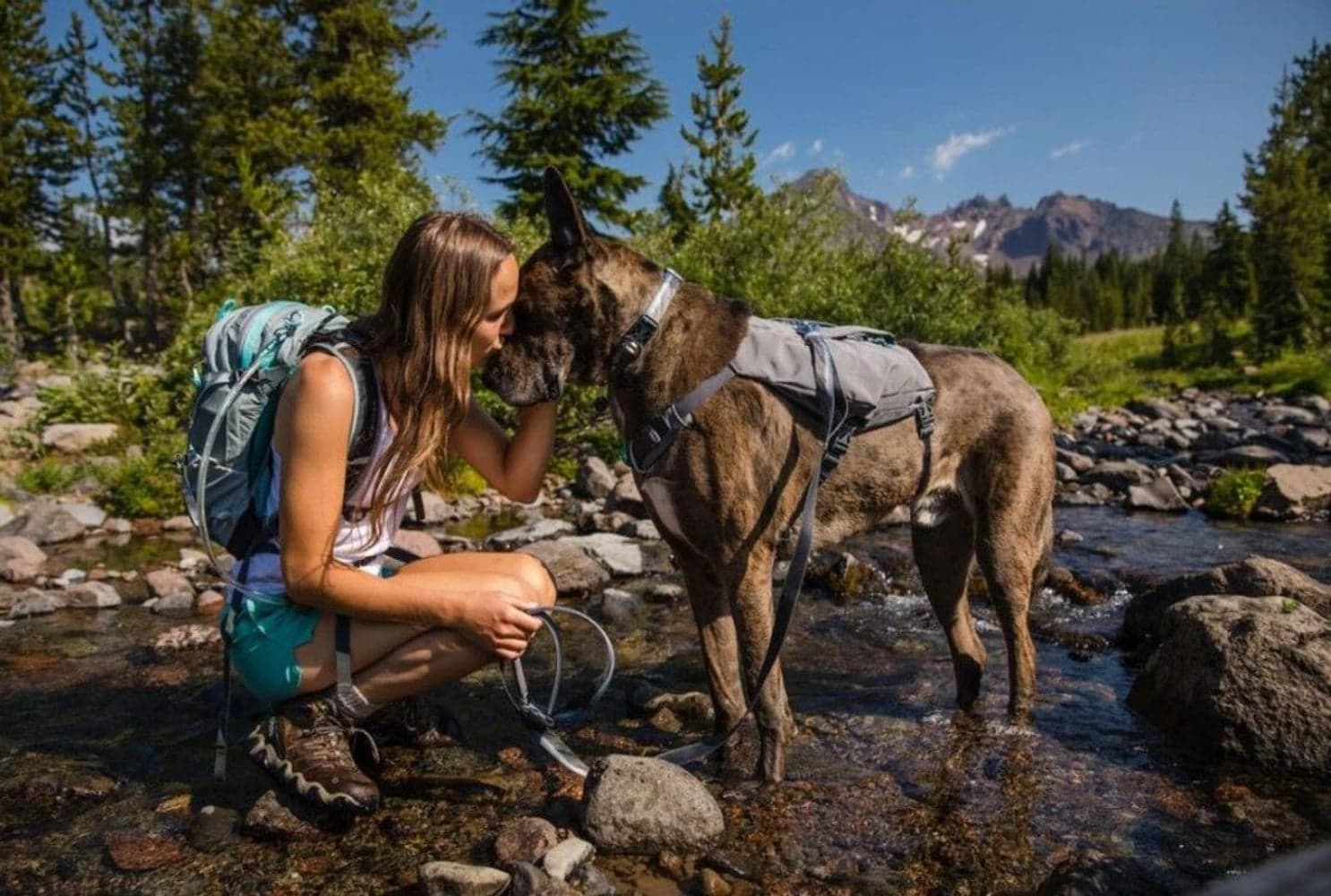 Ruffwear Switchbak Harness Blue Moon, view: 4