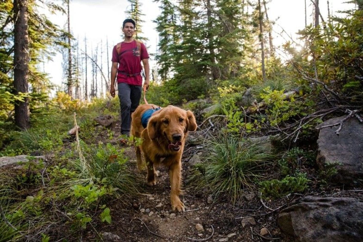 Ruffwear Switchbak Harness Blue Moon, view: 6