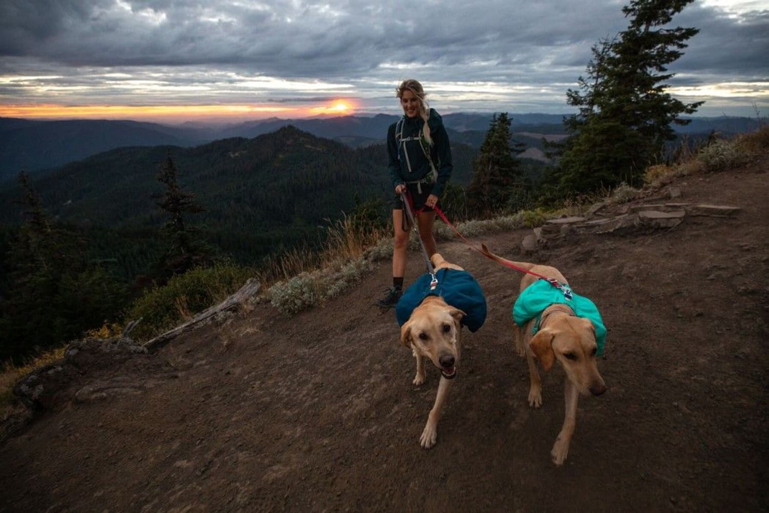 Ruffwear Front Range Daypack Blue Moon, view: 4