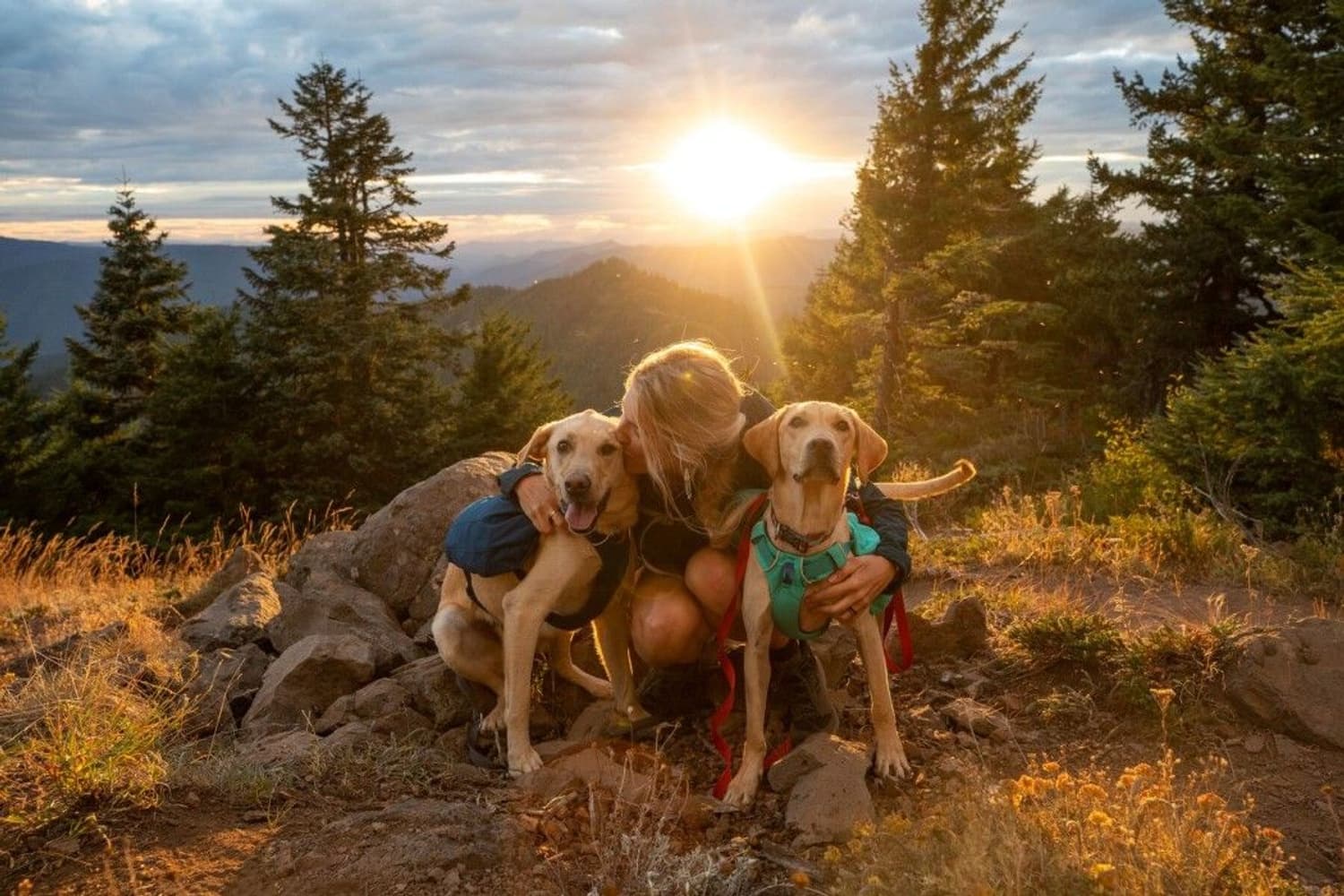 Ruffwear Front Range Daypack Blue Moon, view: 5