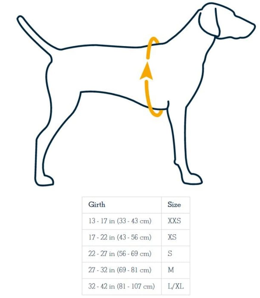 Cloud Chaser Soft Shell Jacket Obsidian Black, view: 3