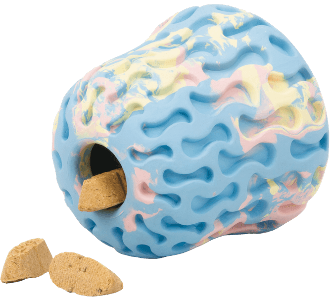 Morel Blue Prism, view: 1