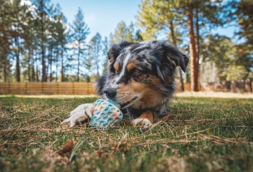 Morel Gray Sky, view: 3