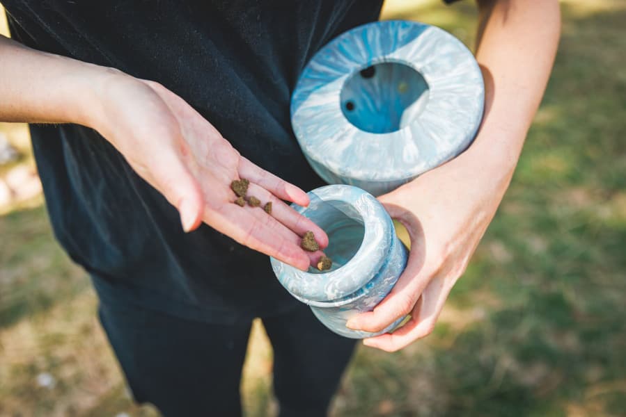 Porchini Moss Green, view: 2