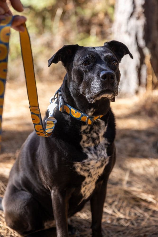 Crag Leash Canyon Oxbow, view: 6