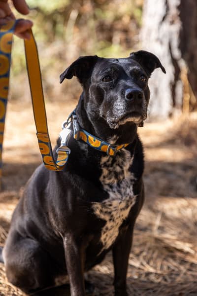 Crag Leash Canyon Oxbow, view: 6