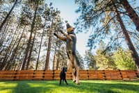 Toadstool Blue Prism - view: 5