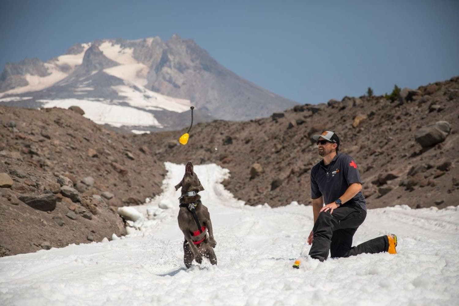 Huck-a-Cone Dandelion Yellow, view: 2
