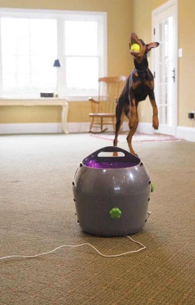 PetSafe Automatisk ballkaster til hund, view: 2