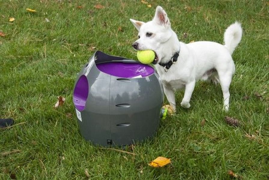PetSafe Automatisk ballkaster til hund, view: 1