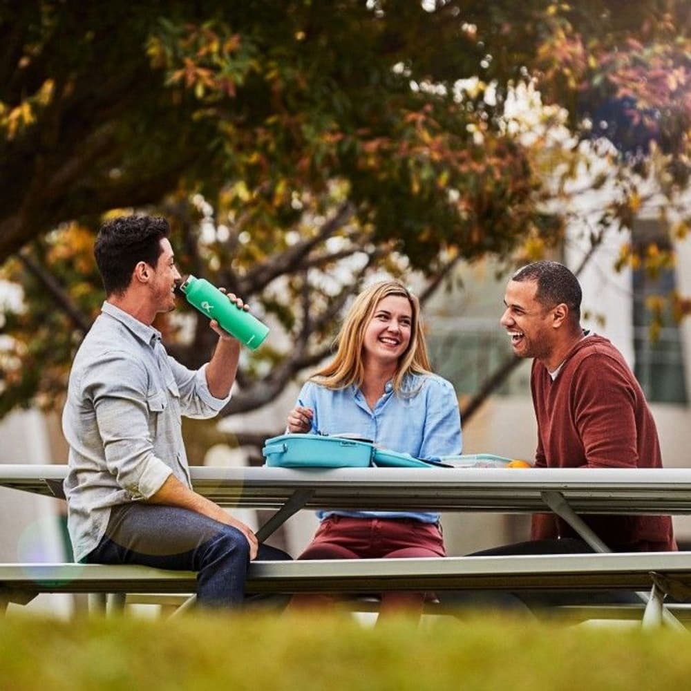 HydroFlask Insulated Lunch Box Small Blackberry One Size, view: 6