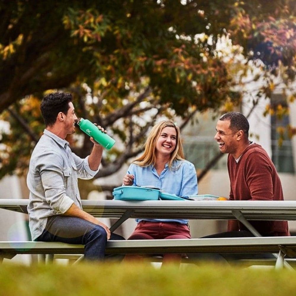 HydroFlask Insulated Lunch Box Small Sunflower One Size, view: 6