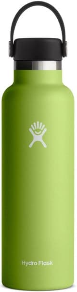 Hydroflask Std Flex 21oz (621ml) Seagrass, view: 0