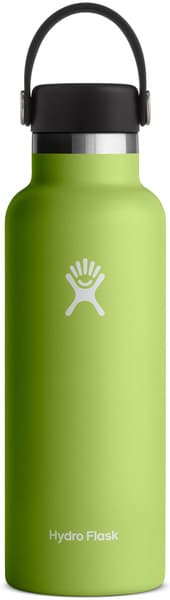 Hydroflask Std Flex 18oz (532ml) Seagrass - view: 0