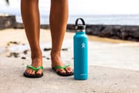 Hydroflask Std Flex 24oz (709ml) Snapper - view: 1