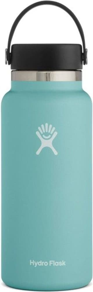 Insulated Wide Mouth Flex 946 ml Alpine, view: 0