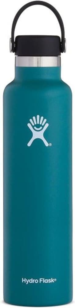 HydroFlask Standard Mouth Flex 709 ml Jade, view: 0