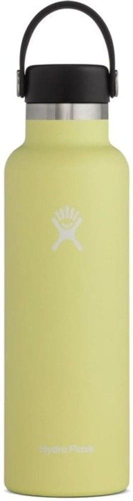 HydroFlask Insulated Standard Mouth Flex 710 ml Pinapple, view: 0